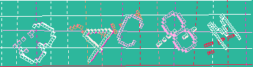 確認代碼
