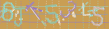 確認代碼