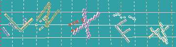 確認代碼