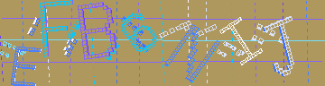 確認代碼