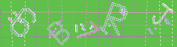 確認代碼