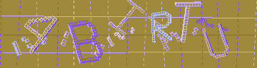 確認代碼