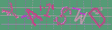 確認代碼