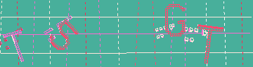 確認代碼