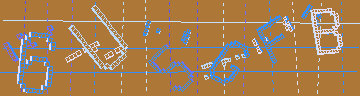 確認代碼