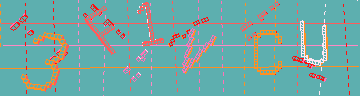 確認代碼