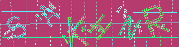 確認代碼