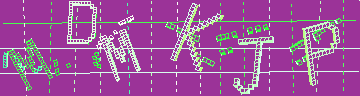 確認代碼