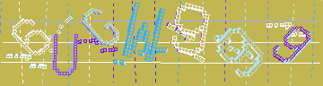 確認代碼