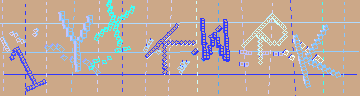 確認代碼