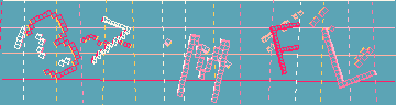 確認代碼