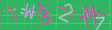 確認代碼