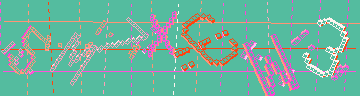 確認代碼