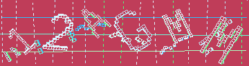 確認代碼