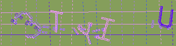 確認代碼