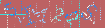 確認代碼