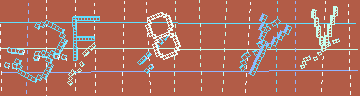 確認代碼