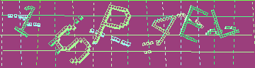 確認代碼
