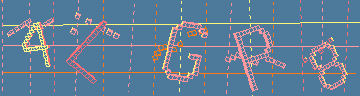 確認代碼