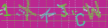 確認代碼