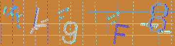 確認代碼