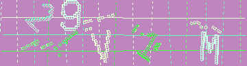 確認代碼