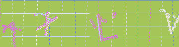 確認代碼