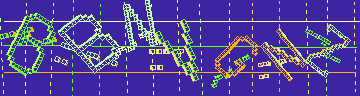 確認代碼