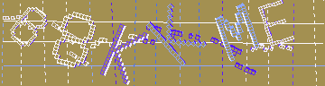 確認代碼