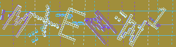 確認代碼