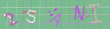 確認代碼
