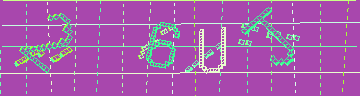 確認代碼