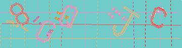 確認代碼