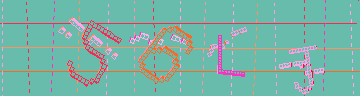 確認代碼