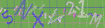 確認代碼
