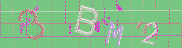 確認代碼