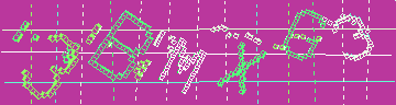 確認代碼