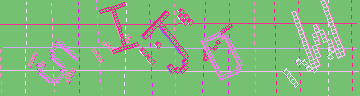 確認代碼