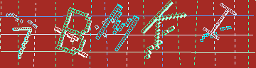 確認代碼