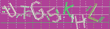 確認代碼