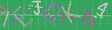 確認代碼
