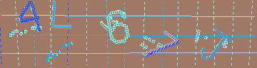確認代碼