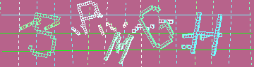 確認代碼