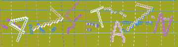 確認代碼