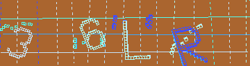 確認代碼