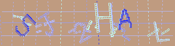 確認代碼