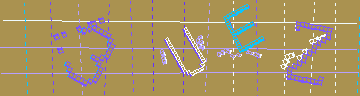 確認代碼