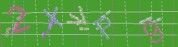 確認代碼
