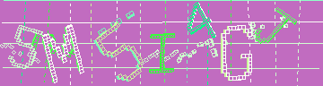 確認代碼