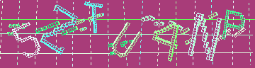 確認代碼